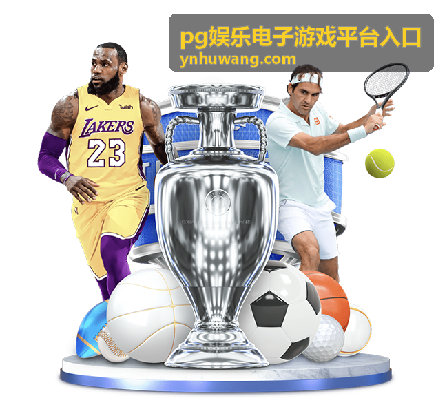 pg娱乐电子游戏平台入口通道状态核对与提醒设置